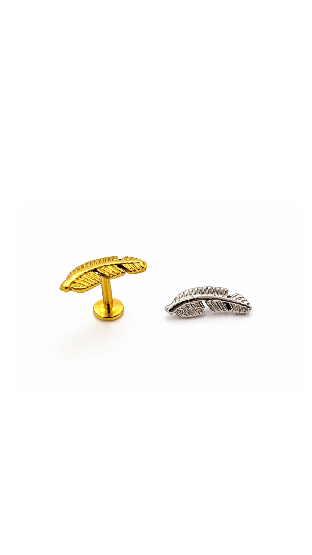 Labret Liso Pena