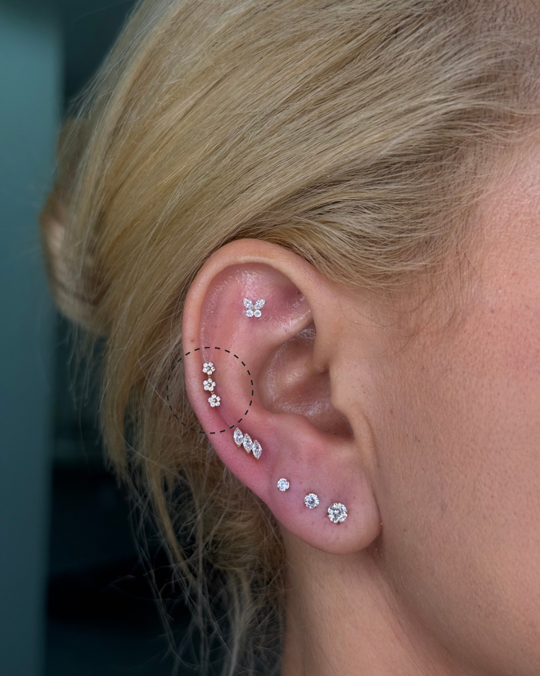 Labret Trio flowers