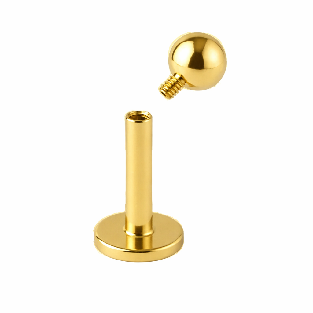 Labret Básico