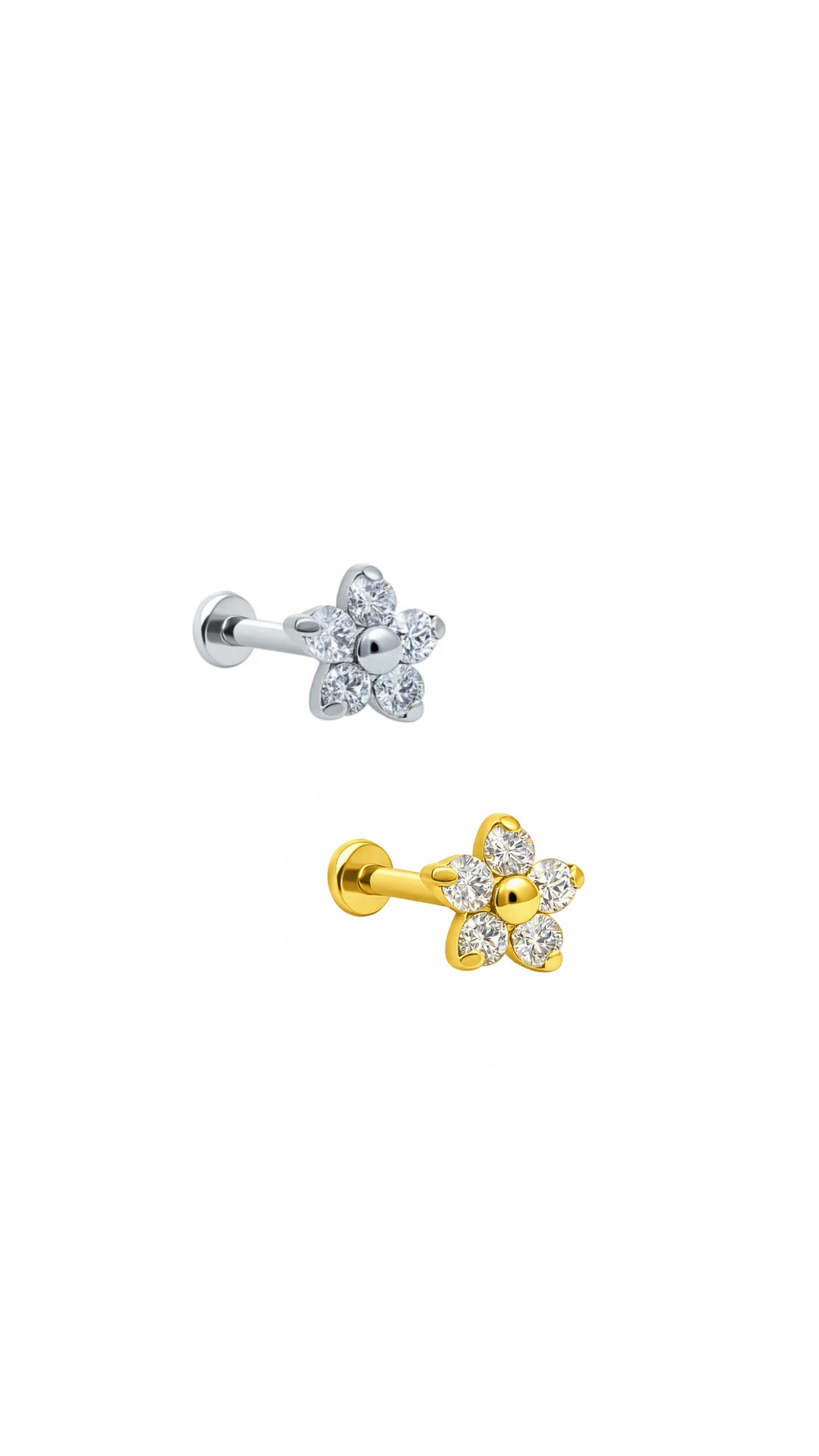 Labret flor