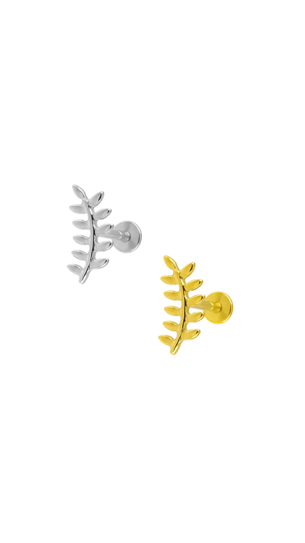 Labret Liso Ramo